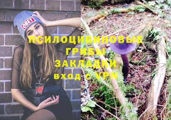 гидропоника Алексеевка