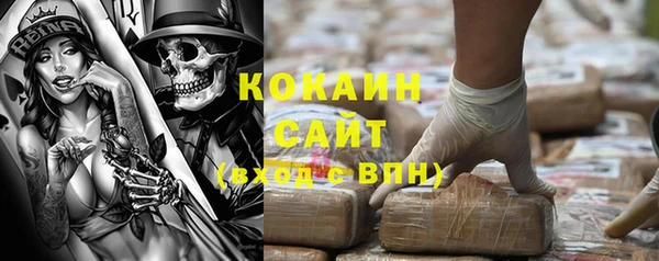 кокс Алексин