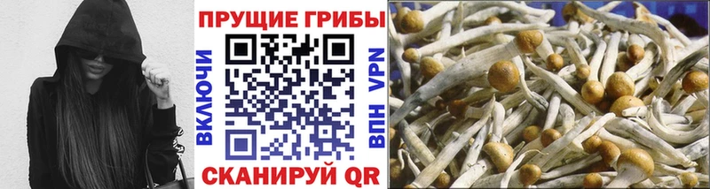Галлюциногенные грибы ЛСД  Микунь 